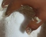 Foto del paso 3 de la receta: Pan rústico baguette