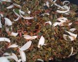 Foto del paso 3 de la receta: Encurtido de verdolaga