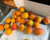 Une image de l'étape 1 de Compote fraîche aux nèfles du Japon, abricots et groseilles.