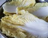 Chicken and Napa Mille Feuille recipe step 5 photo