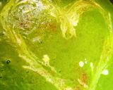 🥦 Brokkolis - spenótos főzelék reszelt sajttal 💚 recept fázis 3 fotója