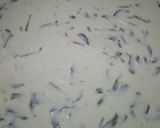 Foto langkah ke 3 dari resep Peyek Kacang Hijau.