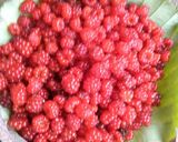 Foto langkah ke 1 dari resep #juice buah harees.