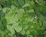 Foto langkah ke 1 dari resep Bening daun kelor.