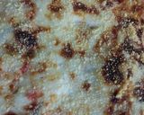 Foto del paso 6 de la receta: Lasagna de berenjenas, con tuco y salsa bechamel