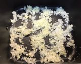A picture of step 2 of Fideuà in Cosori Air Fryer.