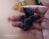 Foto langkah ke 3 dari resep Gulai Ikan Khas Minang.