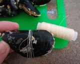 Foto del passaggio 4 della ricetta Cozze ripiene