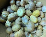 蓮藕栗子豬骨湯 Lotus Root Chestnut Pork Bone Soup的食譜步驟3照片