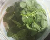 Foto del paso 1 de la receta: Tostada de quintonil con requesón (Ticazu yua shiti ji requesón)