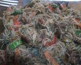 Foto del paso 8 de la receta: Fideos de arroz salteados con carne y verduras