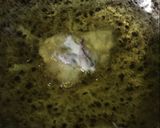 Foto langkah ke 5 dari resep Cumi tepung with black pepper saos.