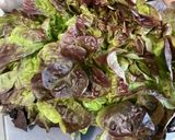 Une image de l'étape 1 de Salade verte aux deux fromages, persil et sauce verte.