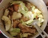 A picture of step 2 of Cabbage/carrot soup.
