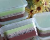 Foto langkah ke 9 dari resep Puding coklat avocado.