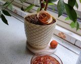 عکس مرحله 4 از دستور مربای گل محمدی