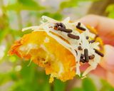 Foto langkah ke 6 dari resep Pisang Goreng Crispy.