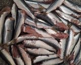 Φωτογραφία βήματος 1 της συνταγής Σαρδέλες με σάλτσα μουστάρδας