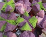Foto langkah ke 8 dari resep Bolu kukus merekah dan lembut anti gagal.