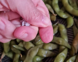 Foto del paso 5 de la receta: Edamame 枝豆 o vaina de soja fresca 🇯🇵🫛 "otoshi" o aperitivo en "izakaya" o taberna, cervecería 🍻Japón