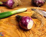 A picture of step 1 of Roast Chicken with Fennel.