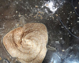 Foto del paso 2 de la receta: Nutella casera