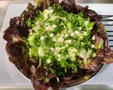 Une image de l'étape 8 de Salade de feuille de chêne à la feta et persil.