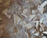 Kekszes őzgerinc recept fázis 1 fotója