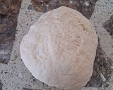 Foto del paso 4 de la receta: Pascualina de acelga 🥬🥬