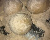 A picture of step 3 of Chicken Bread.