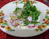 Foto del paso 3 de la receta: Ensalada "evolución del rabanito"