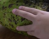 Foto langkah ke 1 dari resep Creamy Sirsak.