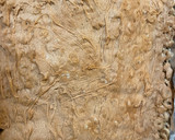 A picture of step 5 of Peanut butter Cheerio bars.