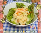 A picture of step 22 of ♧☆Coleslaw Salad☆♧.