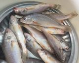 Hình bước làm 1 của món Cá đù chiên tỏi 🐟🐟