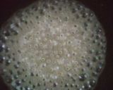 Gambar langkah 8 resipi Kuih Keria (Kurang Manis).