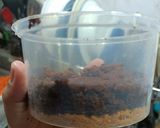 Foto langkah ke 12 dari resep Chocolate Dessert box ekonomis.