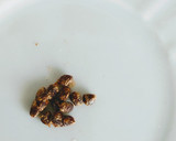 Foto del paso 1 de la receta: 75.🍶Lassi dulce de rosas, cardamomo y miel 🌹🍯(Bebida india)