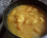 Foto del paso 3 de la receta: Dulce de damascos light