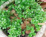 Hình bước làm 1 của món Canh càng cua tàu hũ