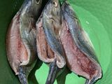Ikan bakar kembong isi tengah