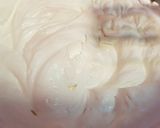 Pas rețetă Cheesecake cu merișoare 6 fotografie