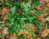 A picture of step 10 of Chicken Boneless And Bhindi (Lady Finger).