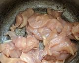 Foto del paso 1 de la receta: Pechuga de pollo y col en salsa