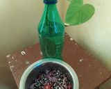 முளைகட்டிய சாலட்(sprout salad recipe in tamil) ரெசிபி ஸ்டேப் 3 புகைப்படம்