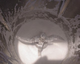Foto del paso 1 de la receta: Coca de cuarto (receta Mallorquina)