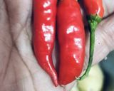 एनर्जी से भरपूर कच्चे केले के कटलेट रेसिपी चरण 3 फोटो
