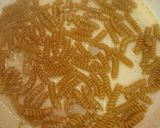Foto do passo 5 de Fusilli com camarão e abobrinha
