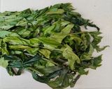 Foto langkah ke 1 dari resep Tumis Daun Pakis.