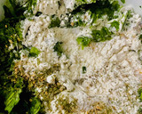 Foto del paso 2 de la receta: BOCADILLOS DE 🥬ACELGA🥬